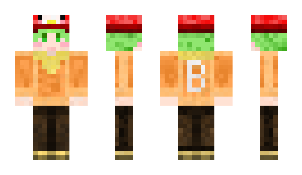 birbirds Minecraft Skin