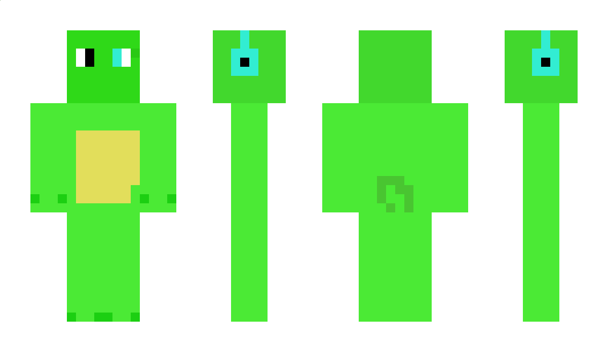 ptok123 Minecraft Skin