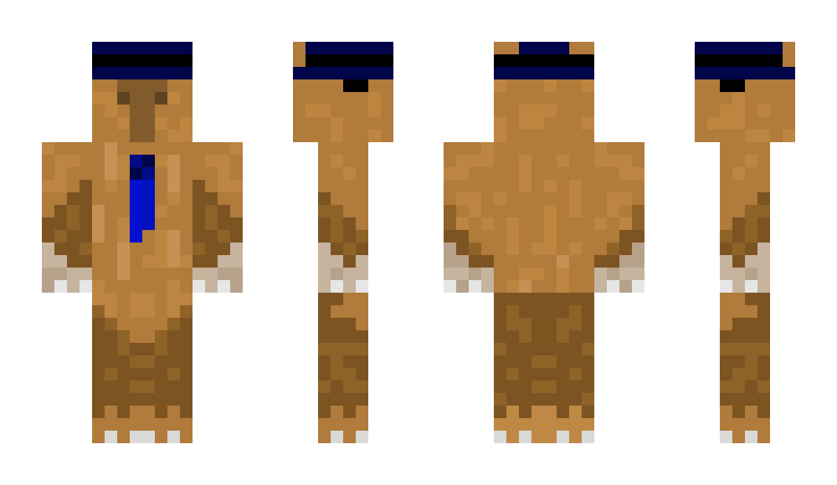 usaim Minecraft Skin