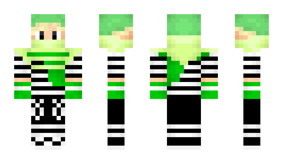 Coconutman Minecraft Skin