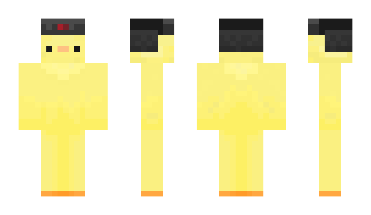 Duckor Minecraft Skin