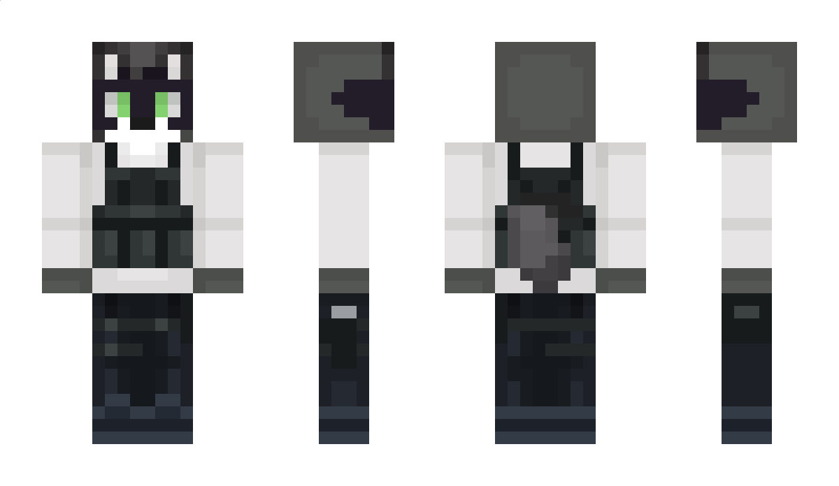 DrSoftPawbs Minecraft Skin