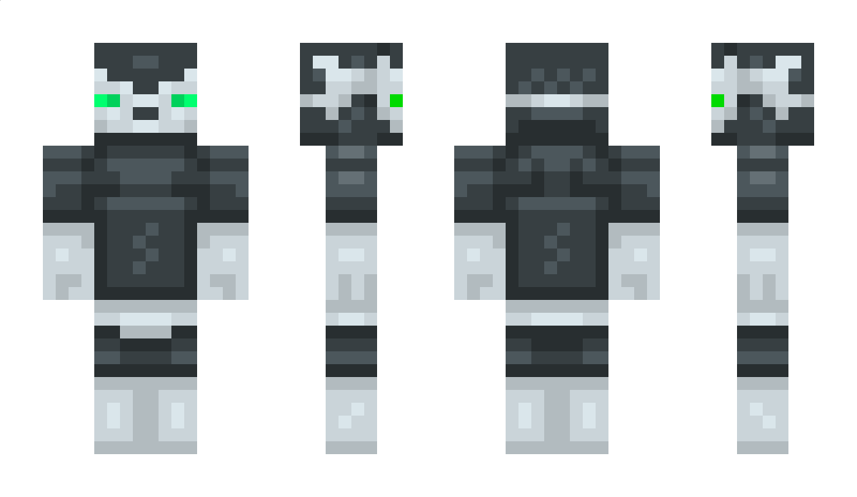 perrry Minecraft Skin