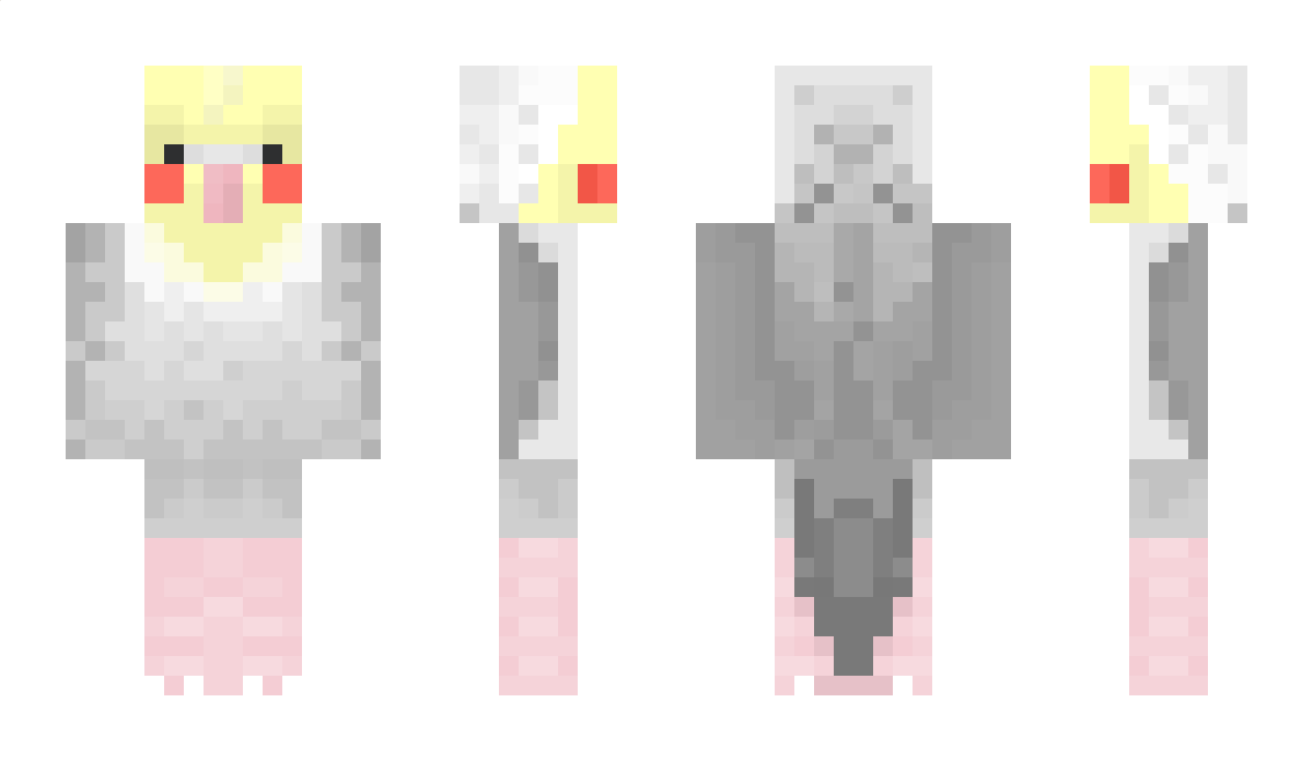 Raydark Minecraft Skin