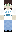 Purtle Minecraft Skin