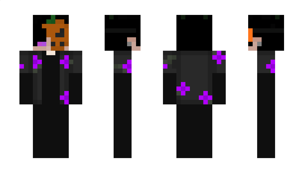 pafix_270 Minecraft Skin