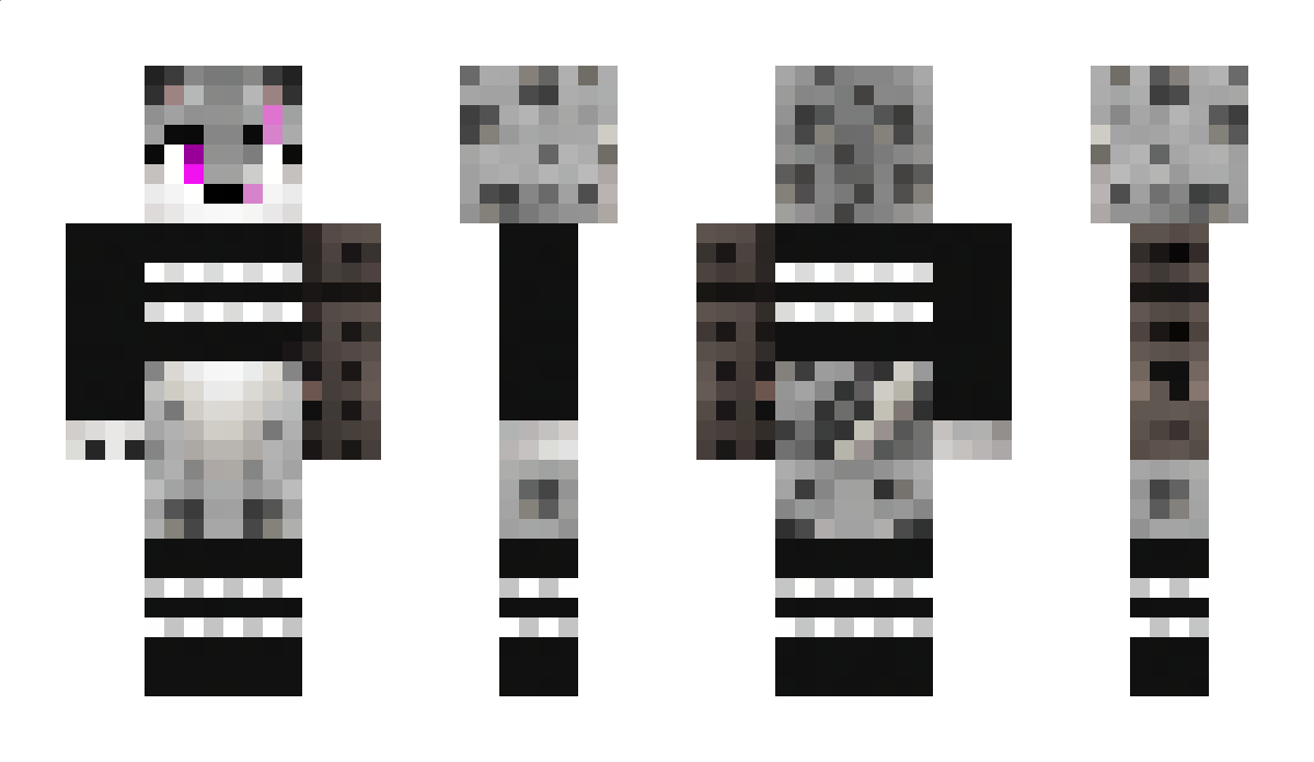 BlueberryWin_ Minecraft Skin