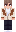 DeshSkyWalker Minecraft Skin