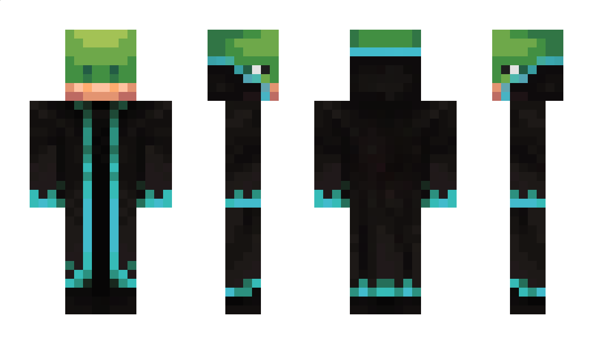 turtolo_ Minecraft Skin