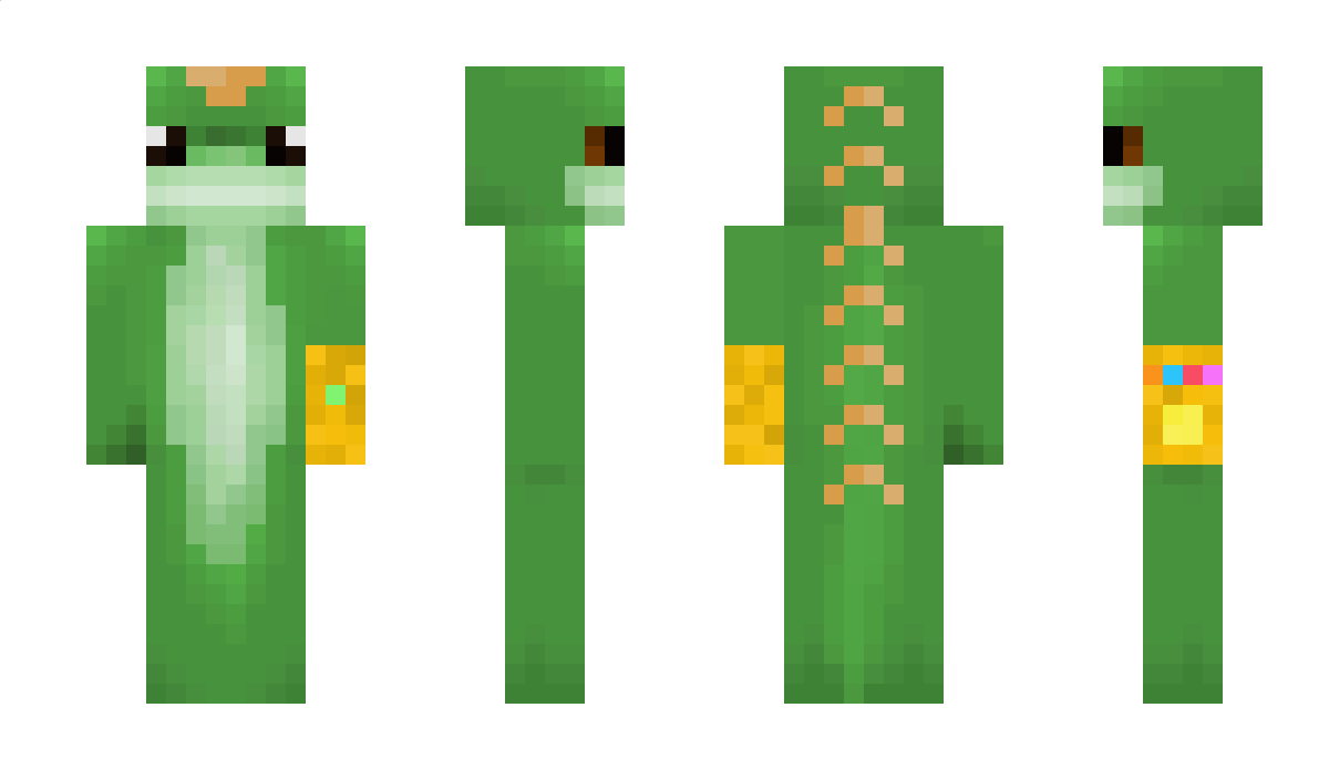 Madturtle Minecraft Skin