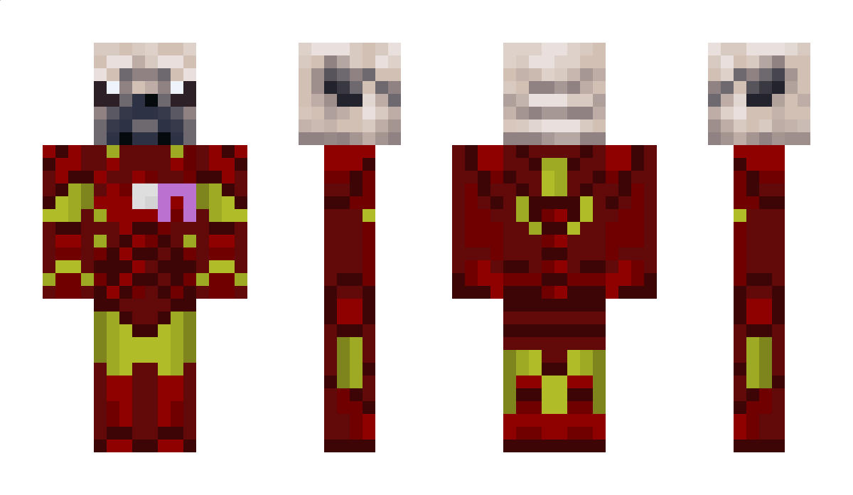 Villagergamming Minecraft Skin