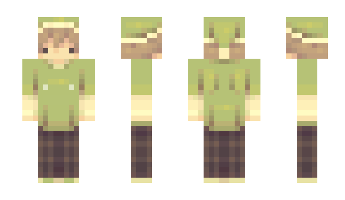 HYDEN1326 Minecraft Skin