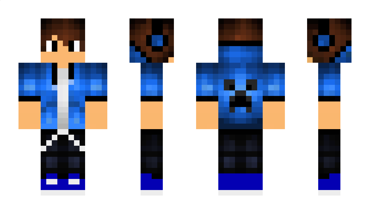 ANP2404 Minecraft Skin