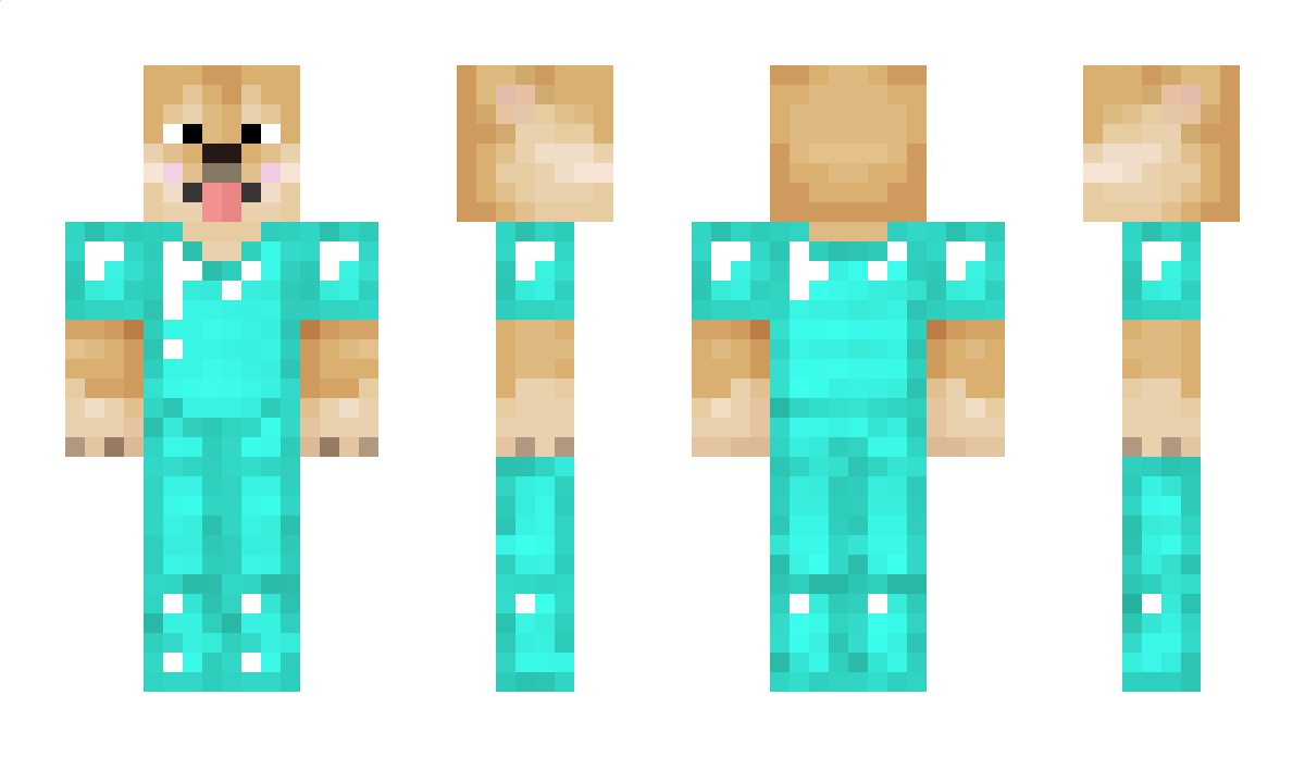 wkddodls1 Minecraft Skin