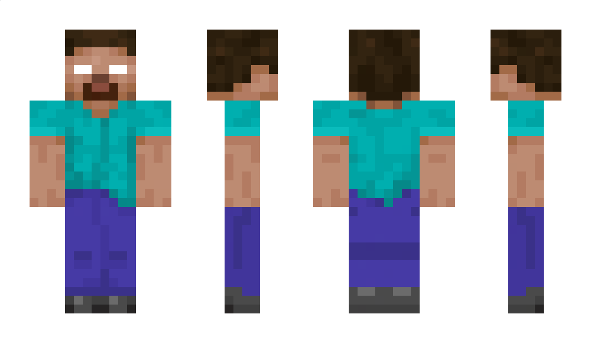 H22N_04 Minecraft Skin