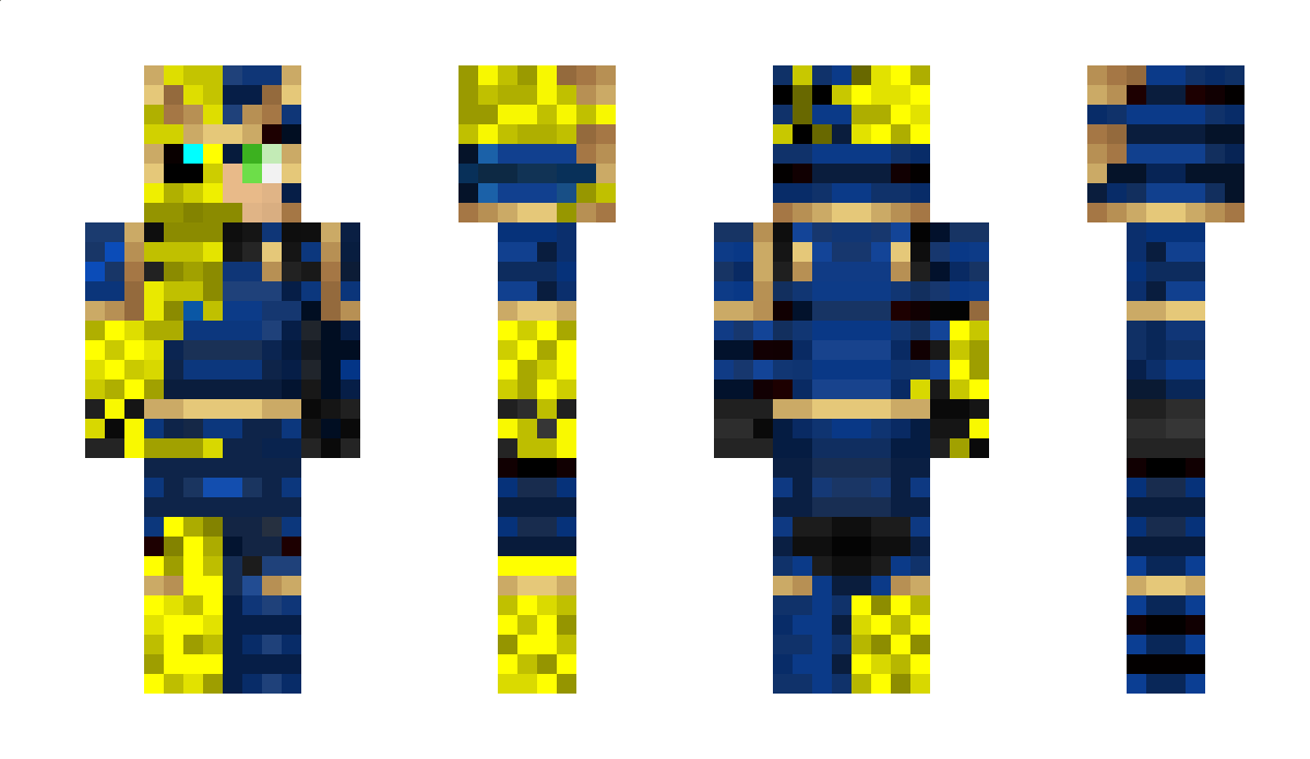 Bourdonguerrier1 Minecraft Skin