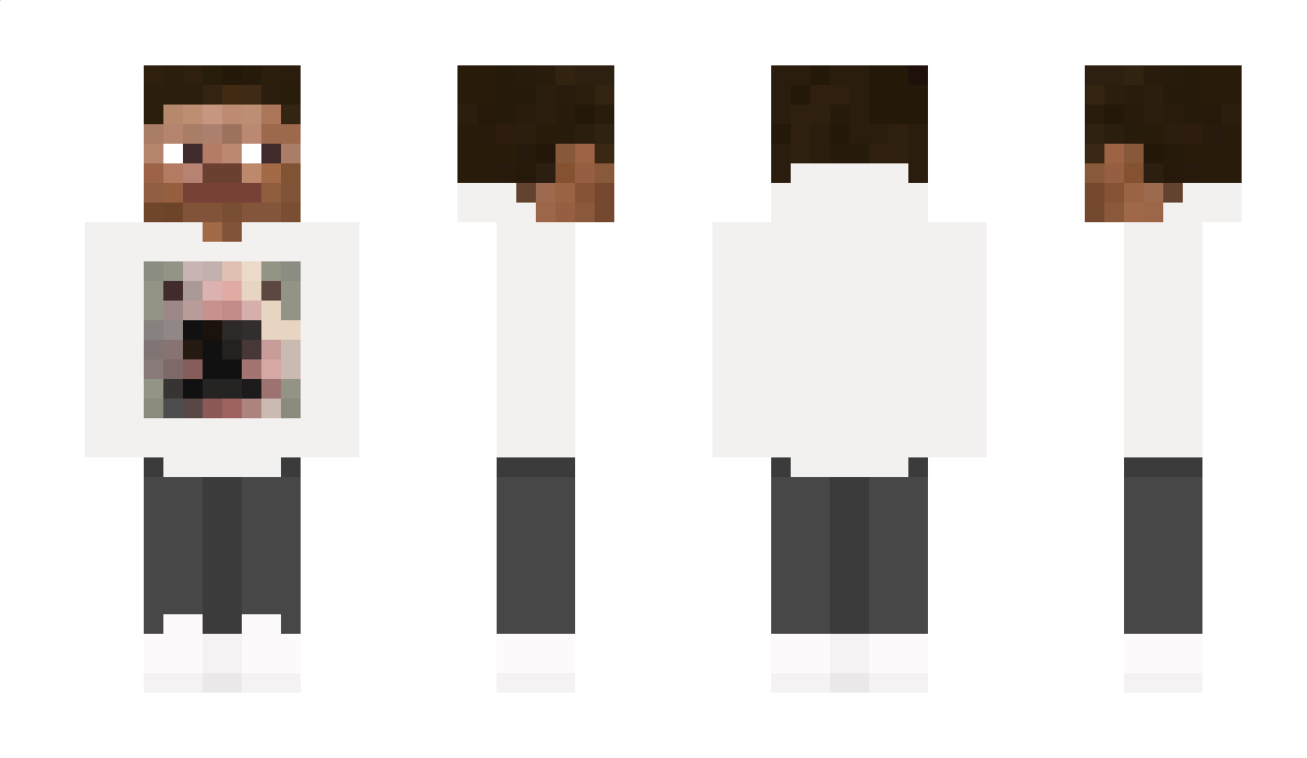 Vinixs Minecraft Skin