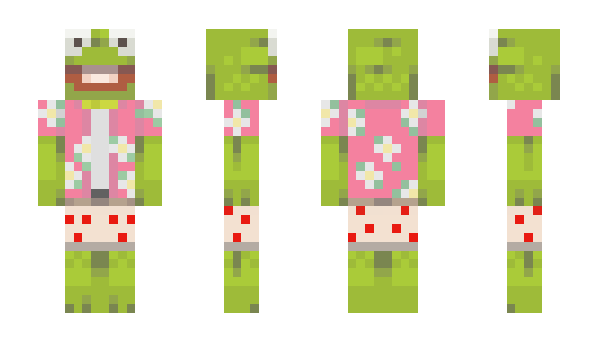 Aces Minecraft Skin