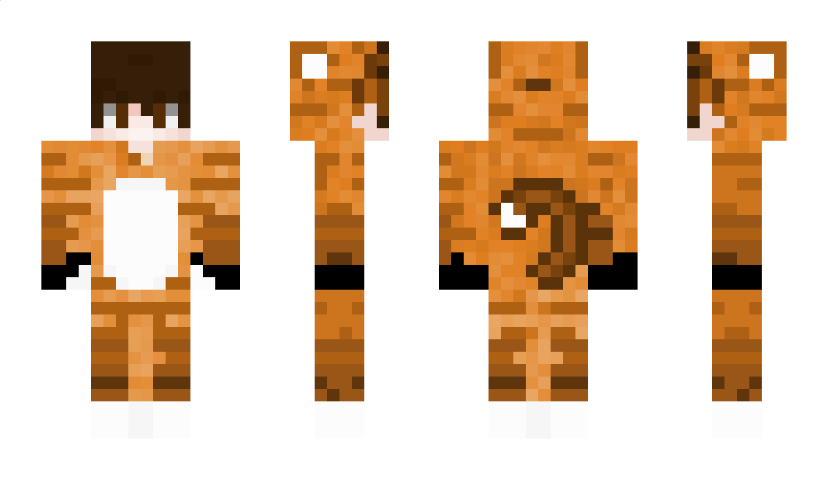 GattoRomY Minecraft Skin