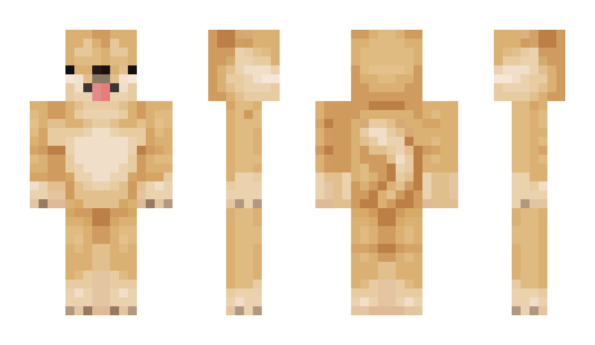 SpeedDragon_ Minecraft Skin