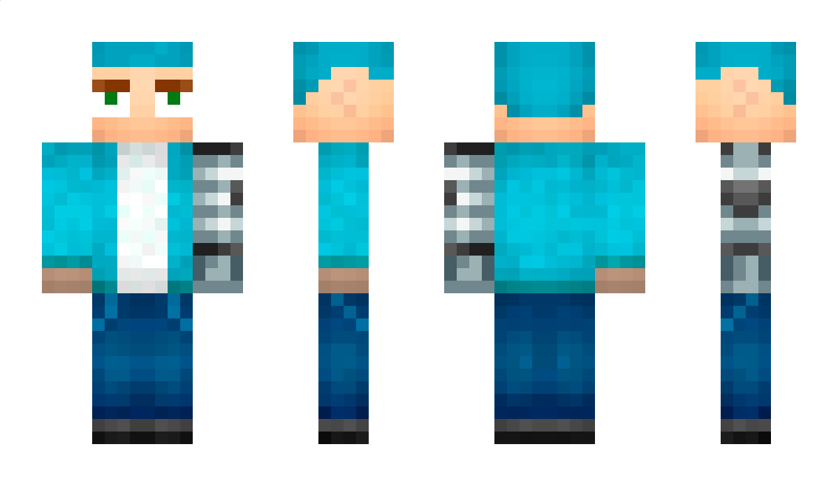 ArticKraft Minecraft Skin