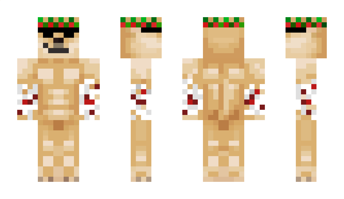 TheMCDoge Minecraft Skin