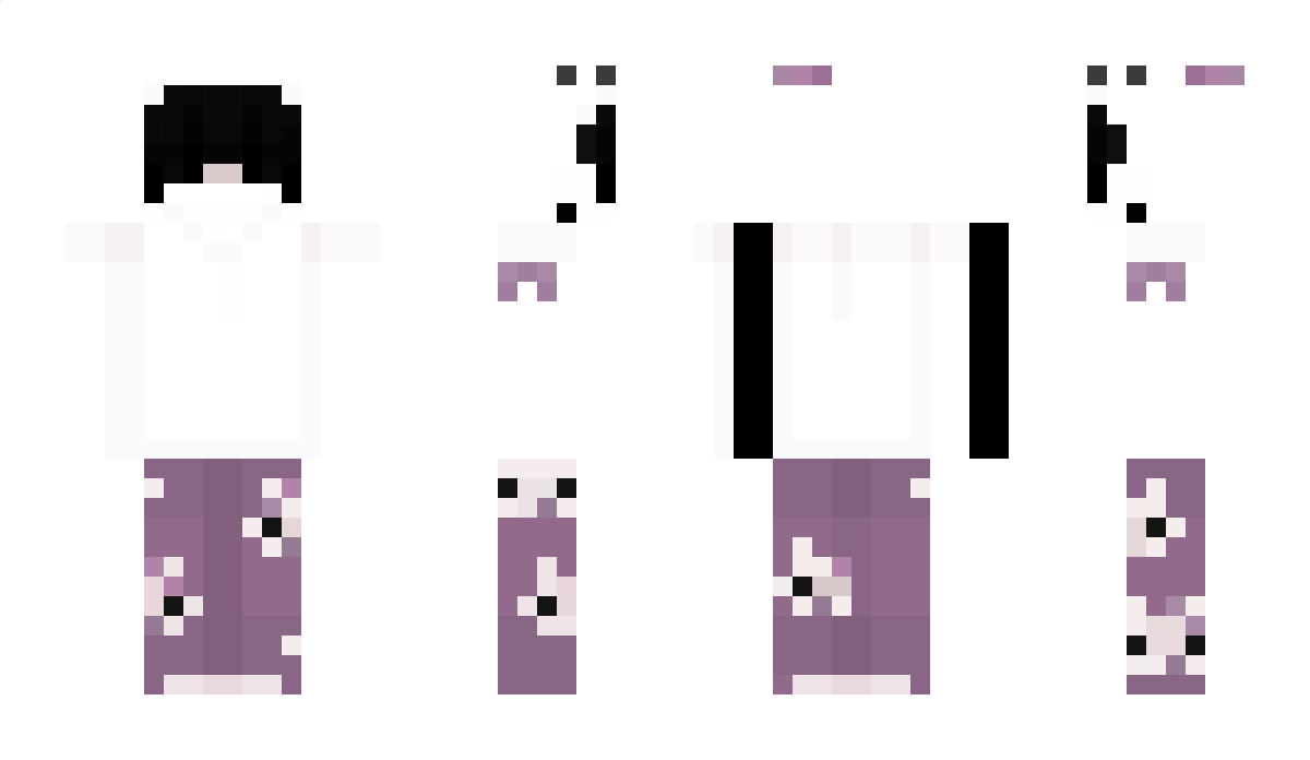 PALExyFY Minecraft Skin