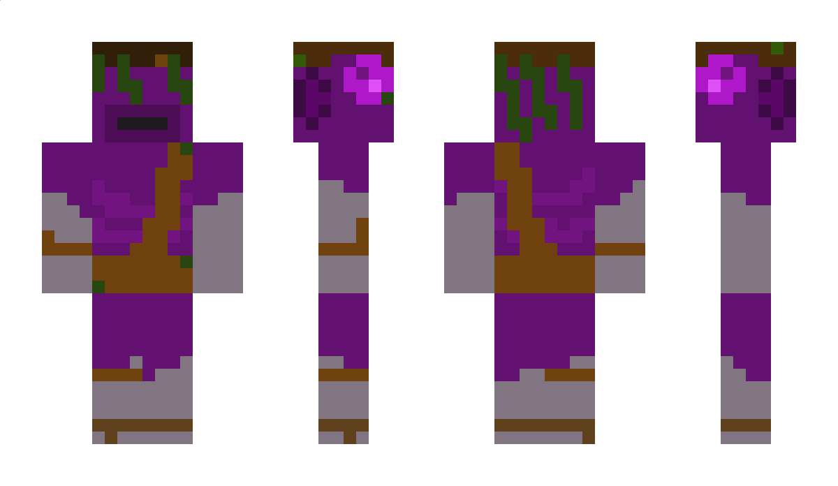 TheOwlLolek1234 Minecraft Skin