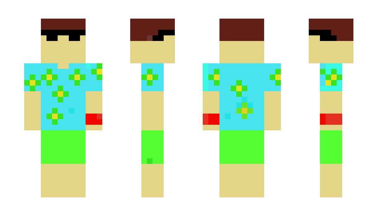 Sebisniper668 Minecraft Skin