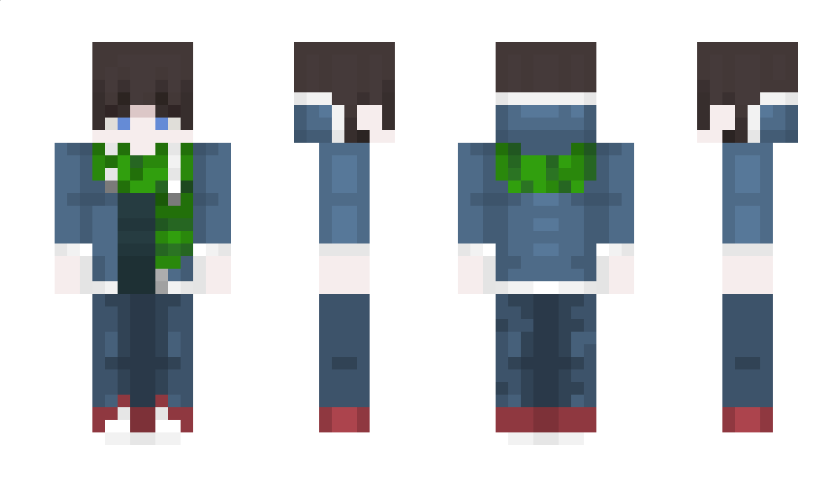 miheedzikpl Minecraft Skin