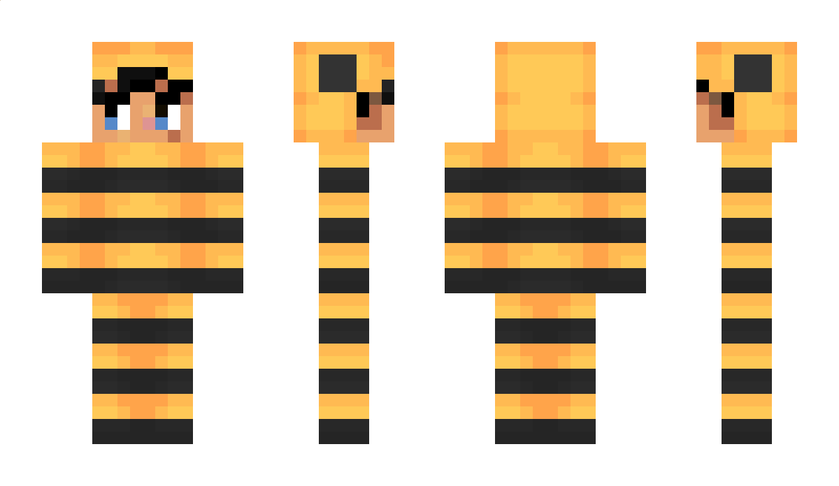 Rejeqted Minecraft Skin