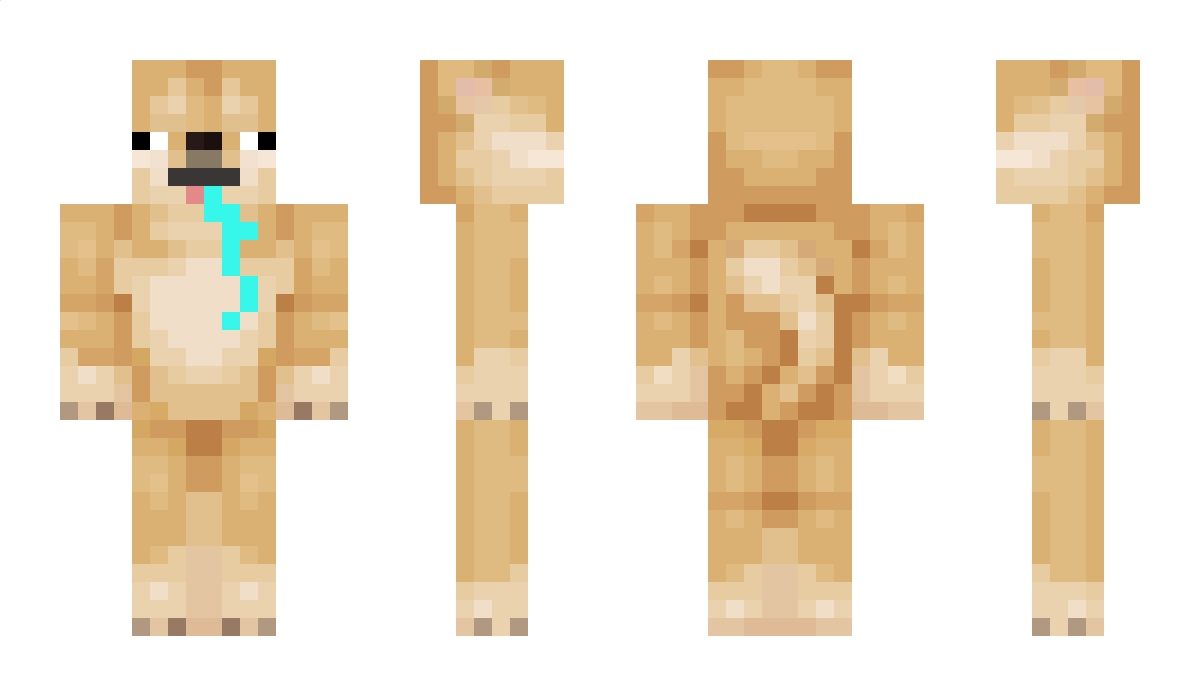 dogman909 Minecraft Skin