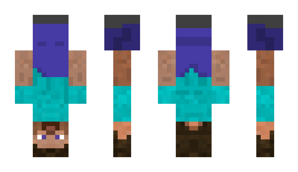 AsterPhoenix01 Minecraft Skin