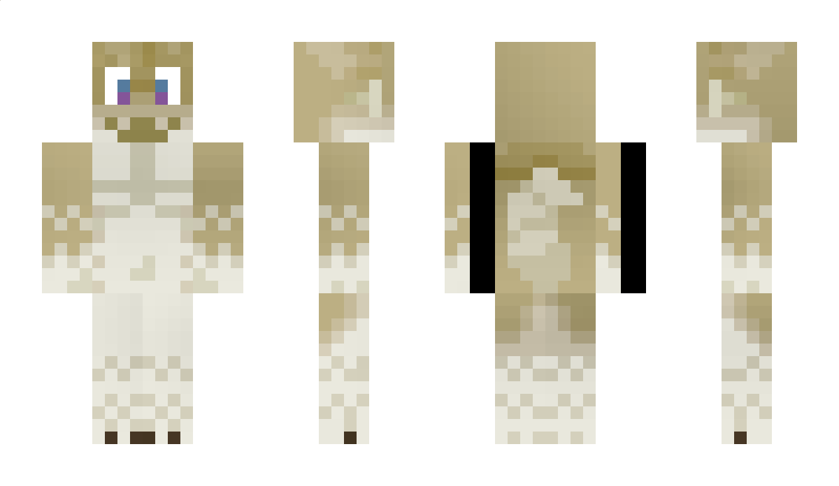 ripik Minecraft Skin