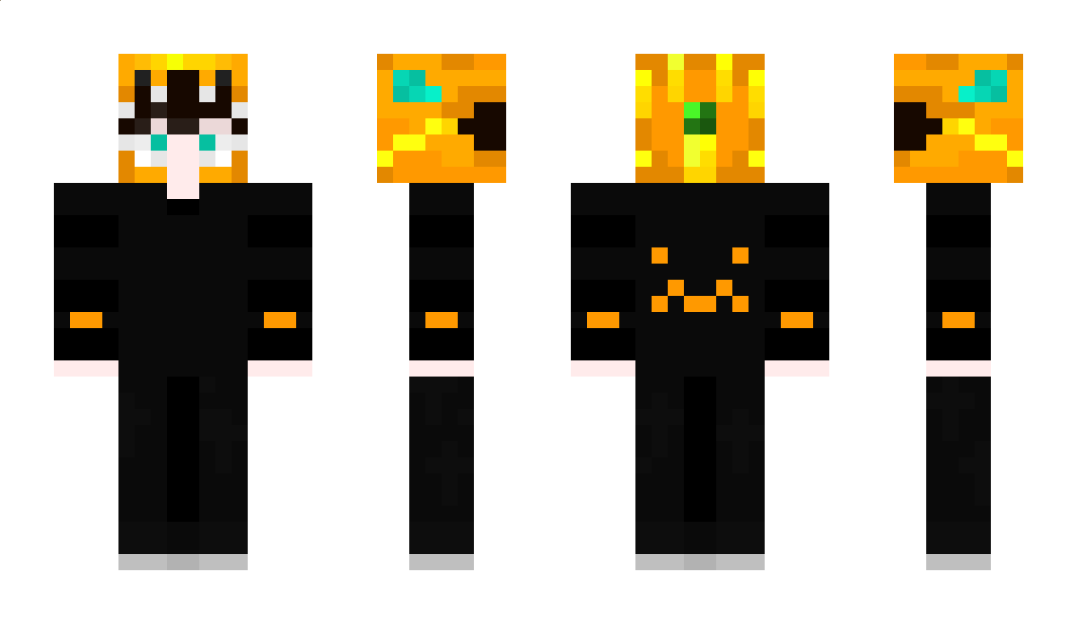 Hakuryu_999 Minecraft Skin