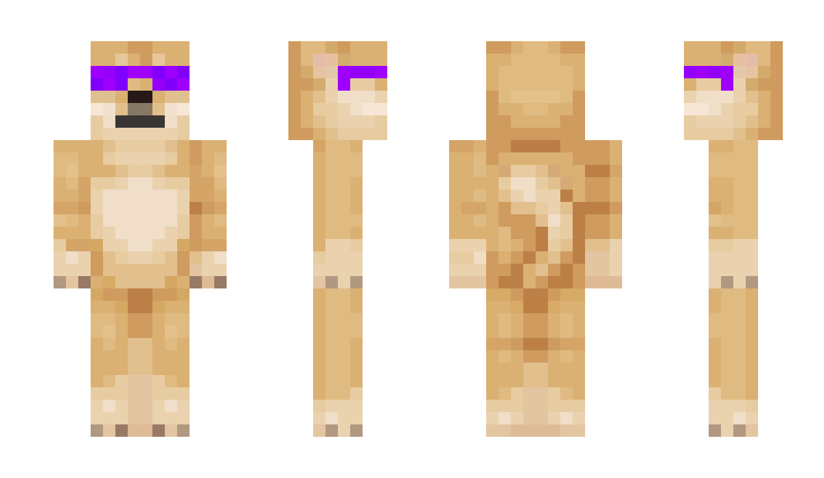 MuchDogeCraft Minecraft Skin