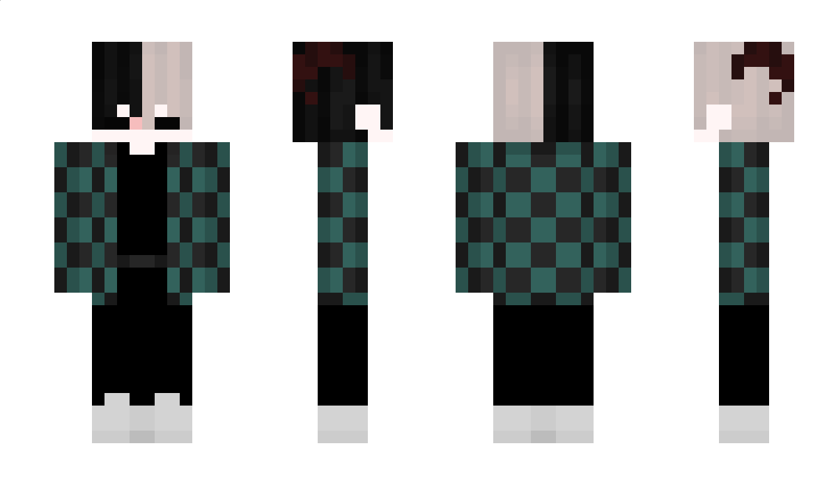 PAtro342 Minecraft Skin