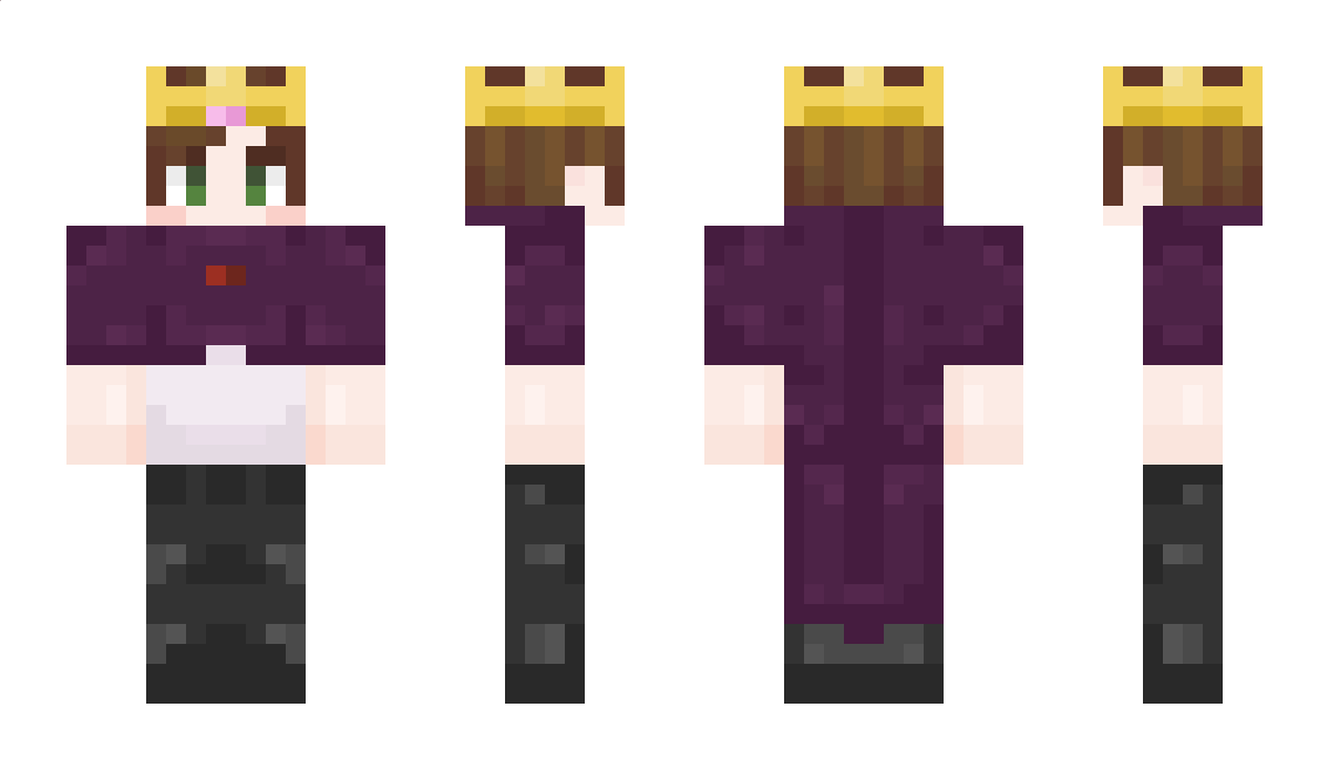 SirFlop_ Minecraft Skin