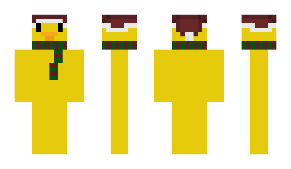 Braboes1 Minecraft Skin