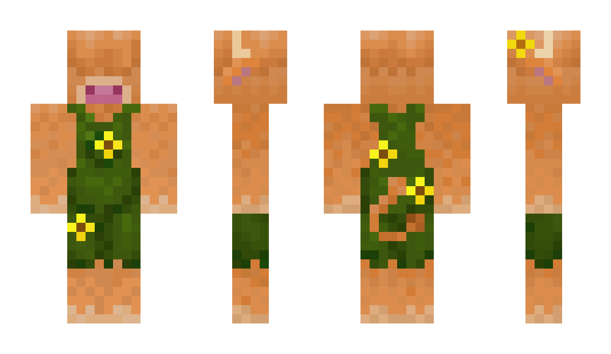 Shey Minecraft Skin