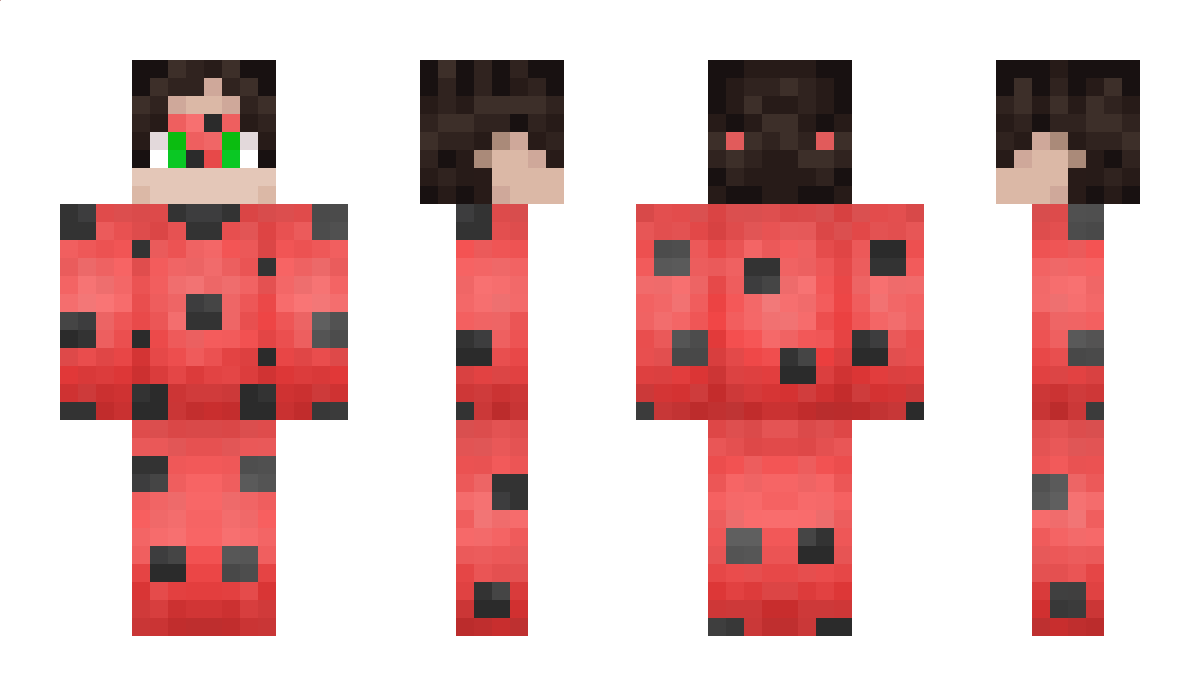 DeadXandr Minecraft Skin