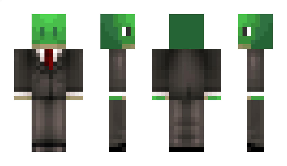 BradyFamily Minecraft Skin