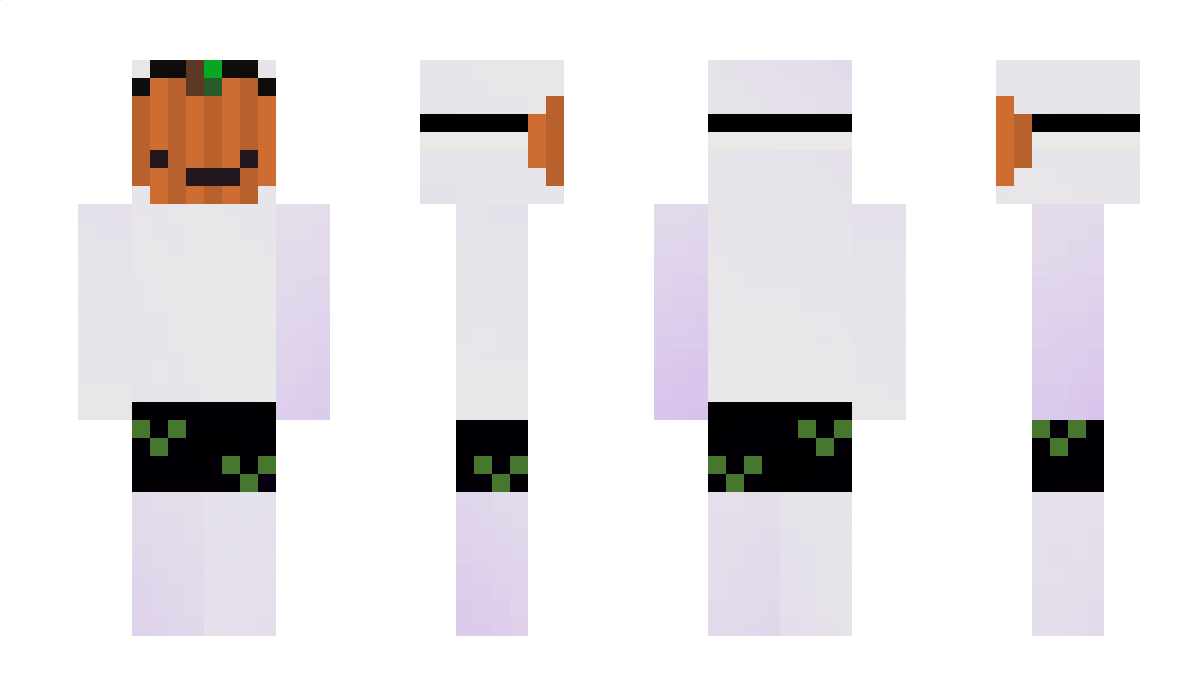 FiddlePattt Minecraft Skin