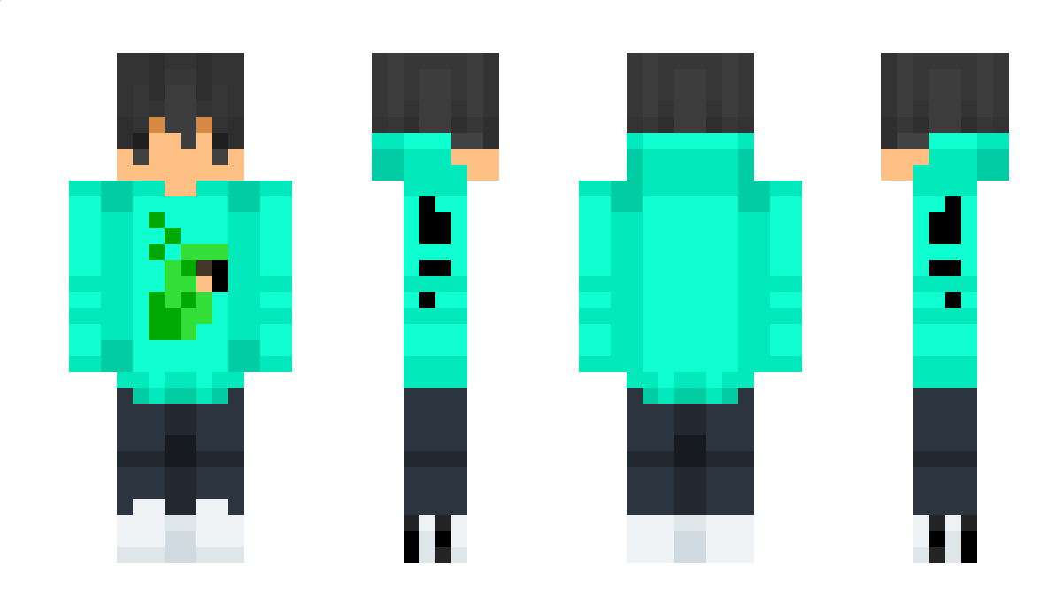 Papugaa Minecraft Skin