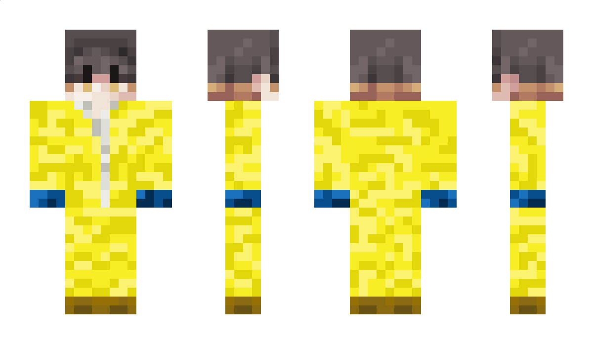 __Fate Minecraft Skin