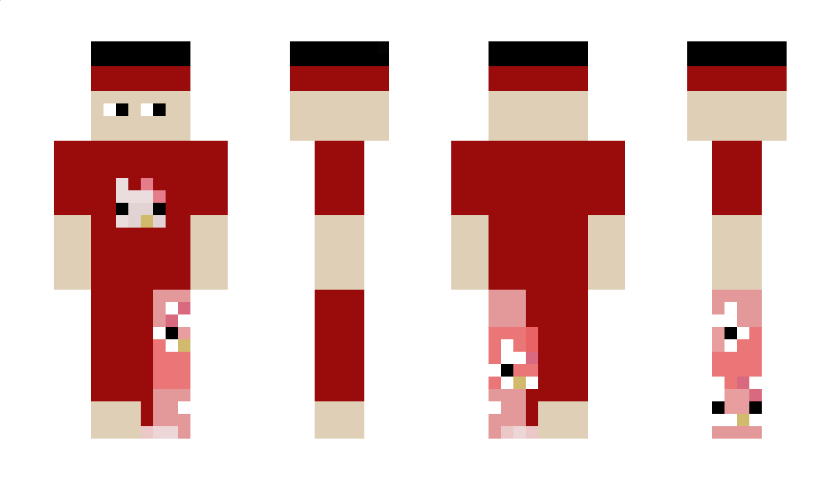 BayRook1e Minecraft Skin