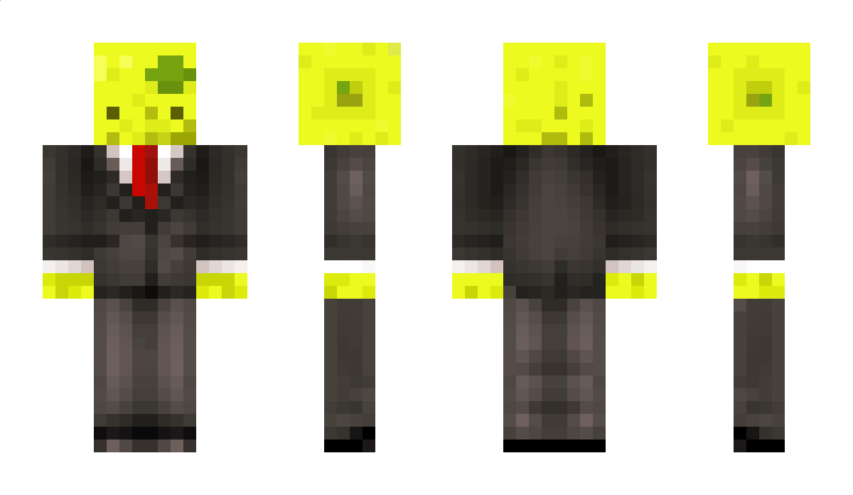 LikeAcitroen Minecraft Skin