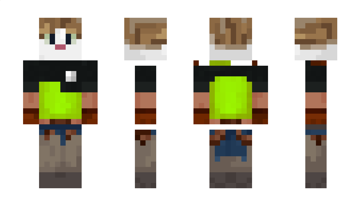SonicTunder7 Minecraft Skin