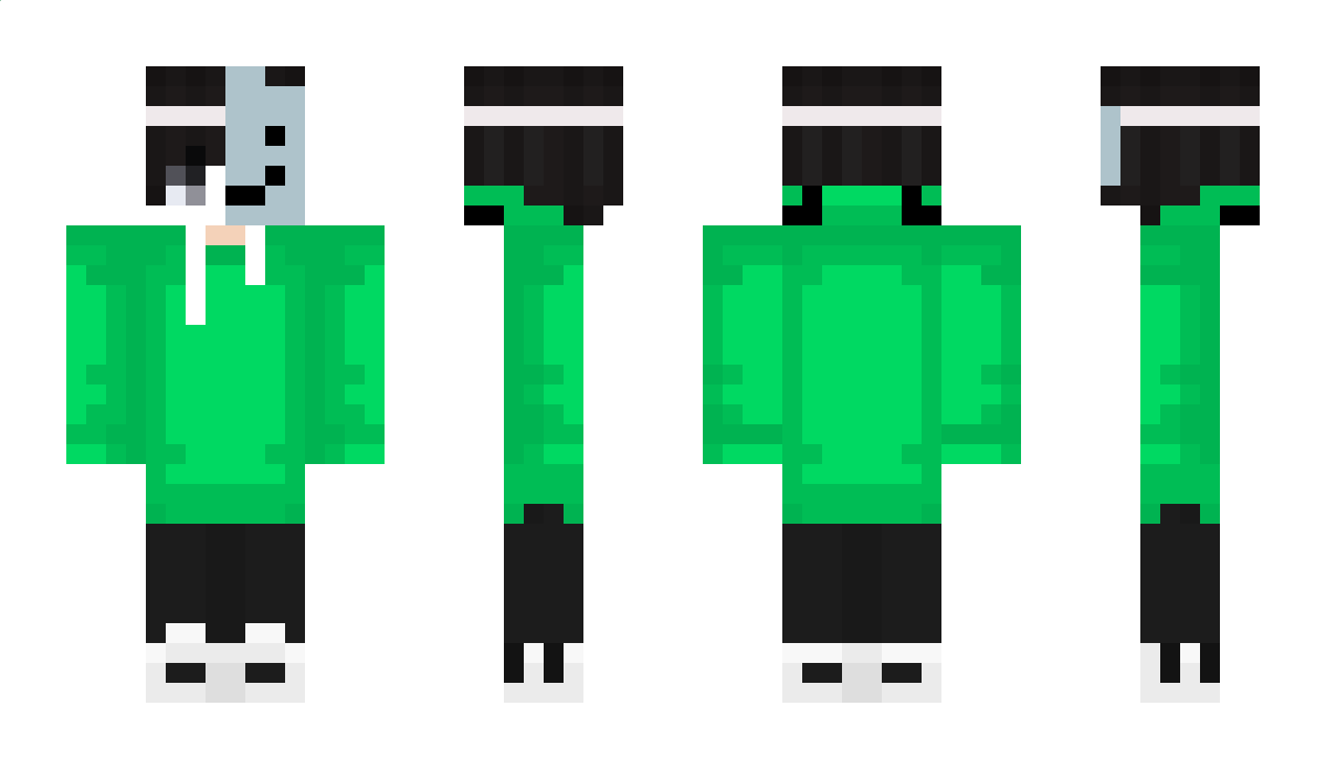 MeSatoru Minecraft Skin