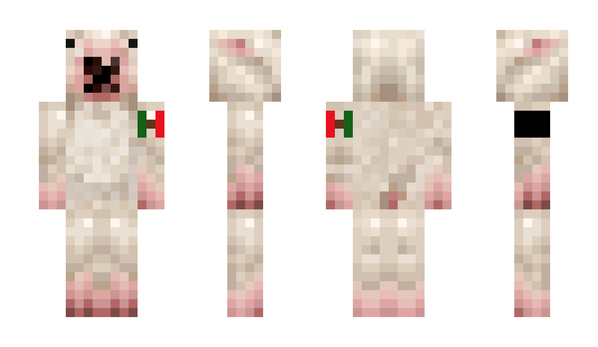 Makusaa Minecraft Skin